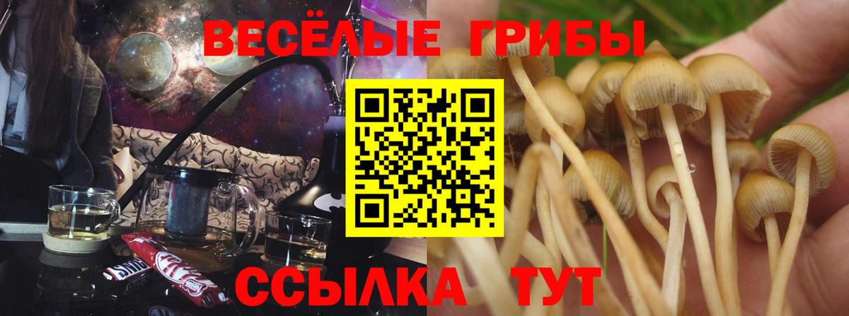 Псилоцибиновые грибы MAGIC MUSHROOMS Заволжье