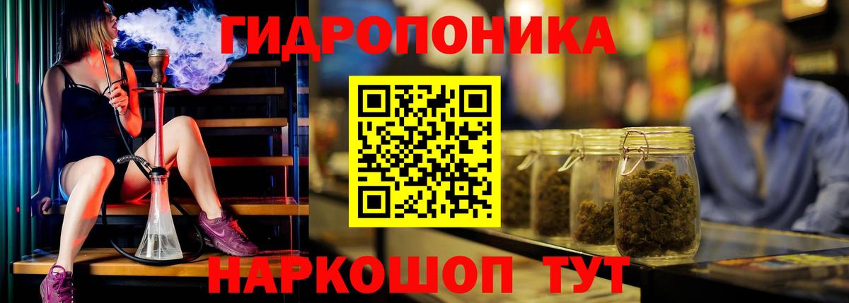 Бошки марихуана OG Kush Заволжье